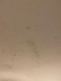 Mould