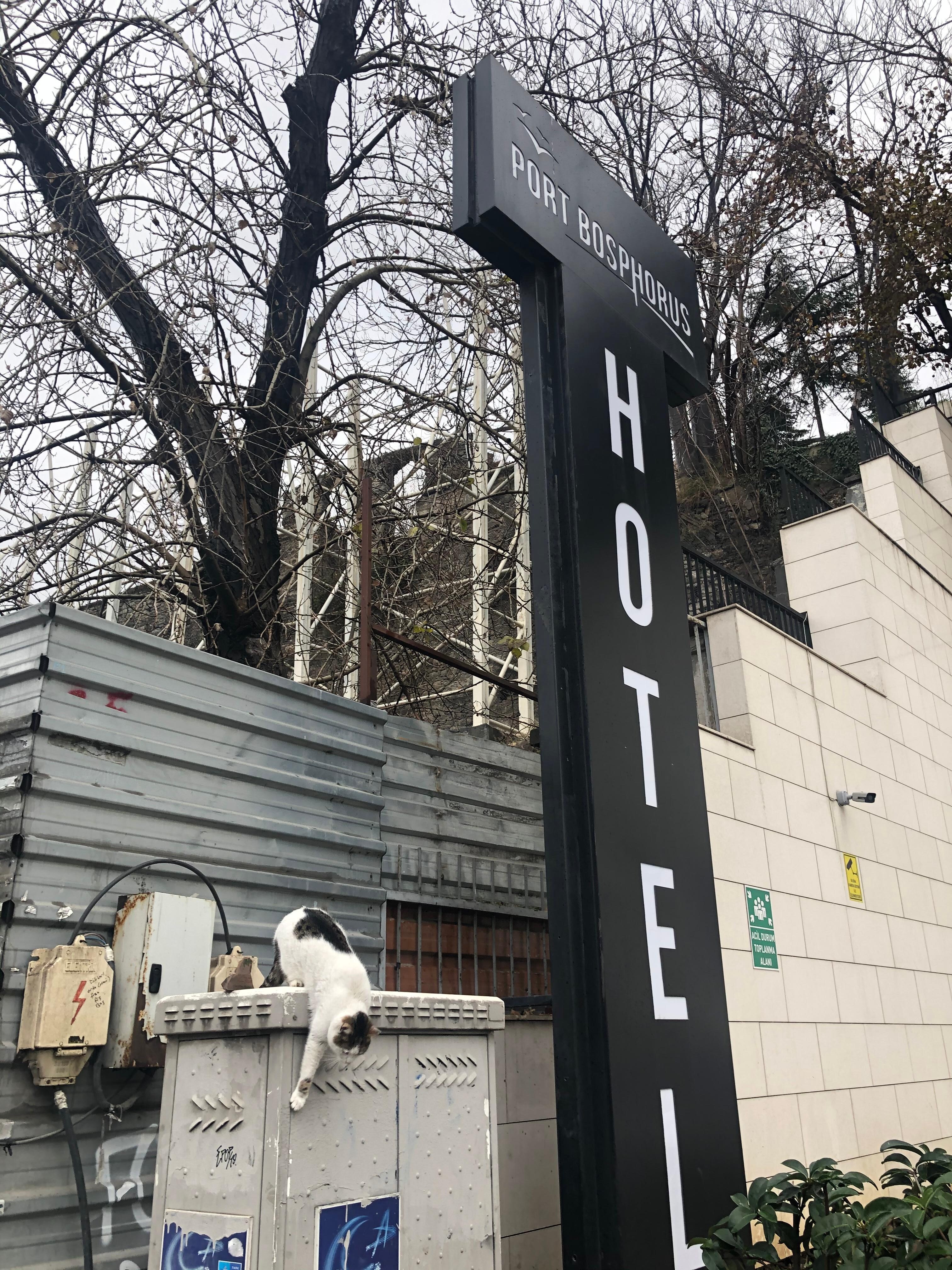 The reception’s attitude was stunning as well. Except for one man helping with luggage, the rest has no any intention to serve. 