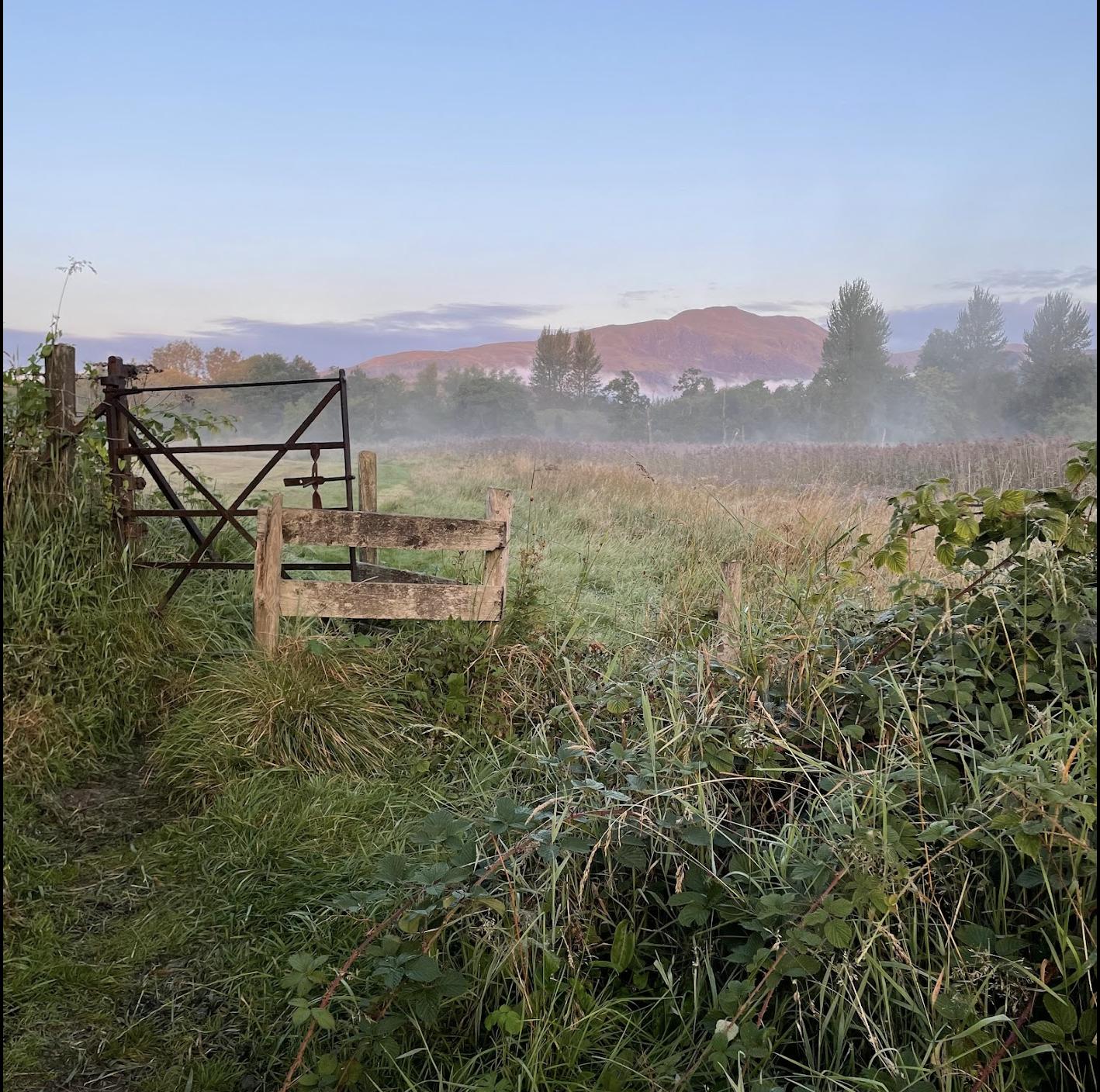 Entrance to meadow (with view on Ben Ledi) behind hostel