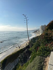 Short walk to the beach.🐚