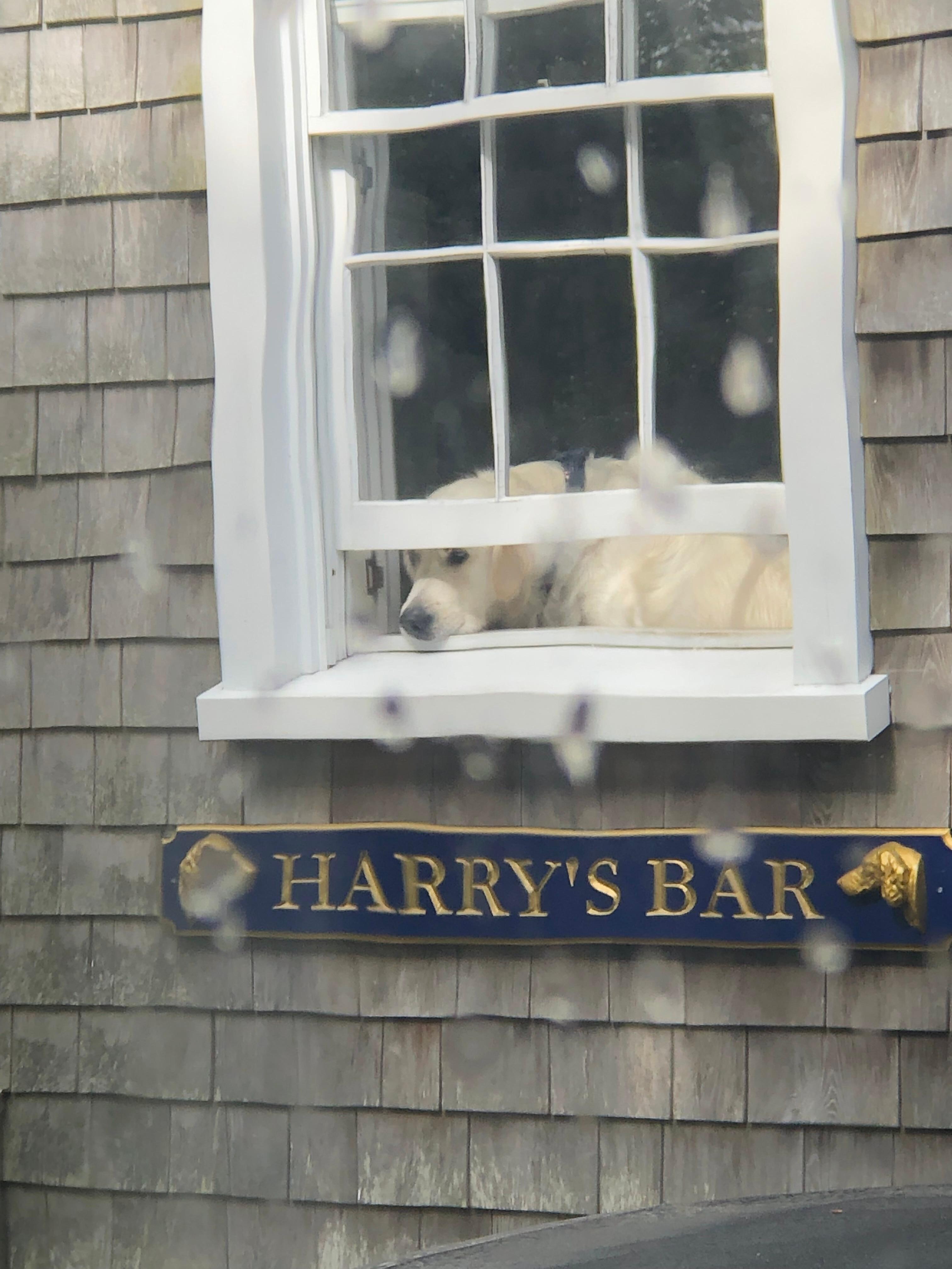 Our dear neighbor!