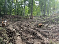 backyard construction - grassy area replaced by mud