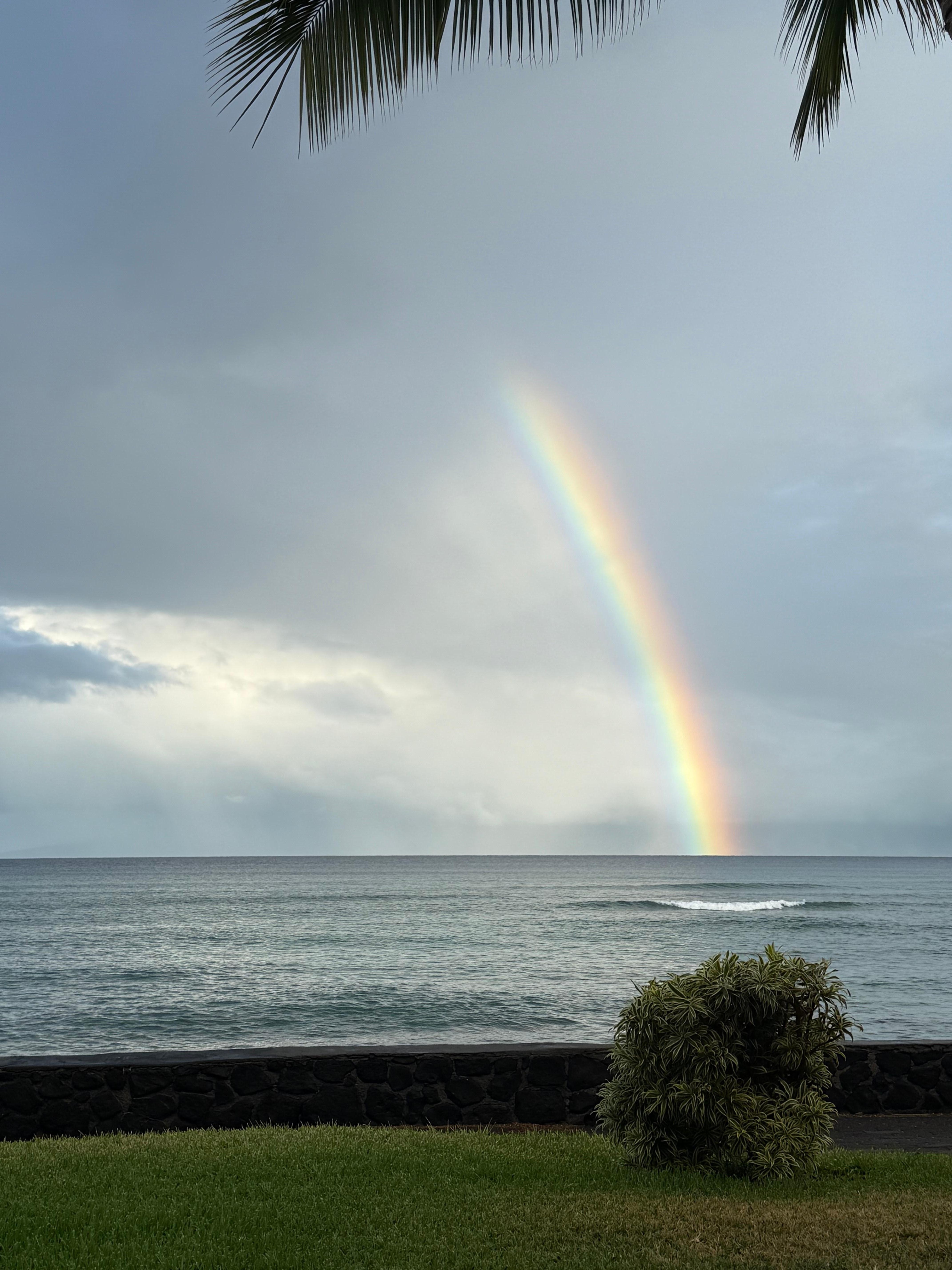 Early morning rainbow.