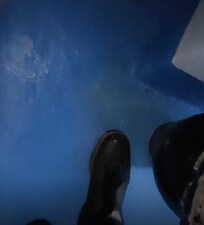 Water collection by kitchen