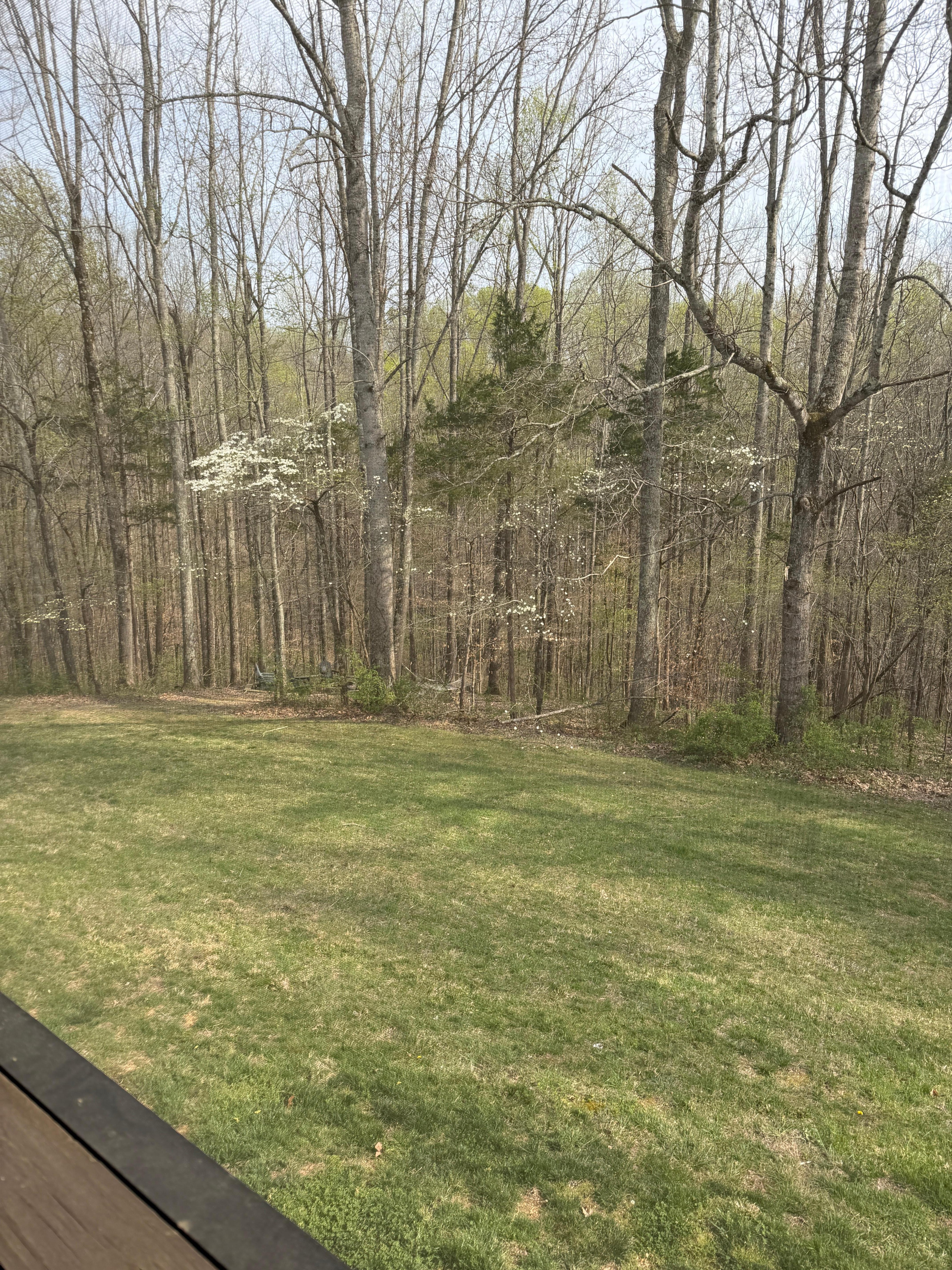 What a view from the screened
Porch!