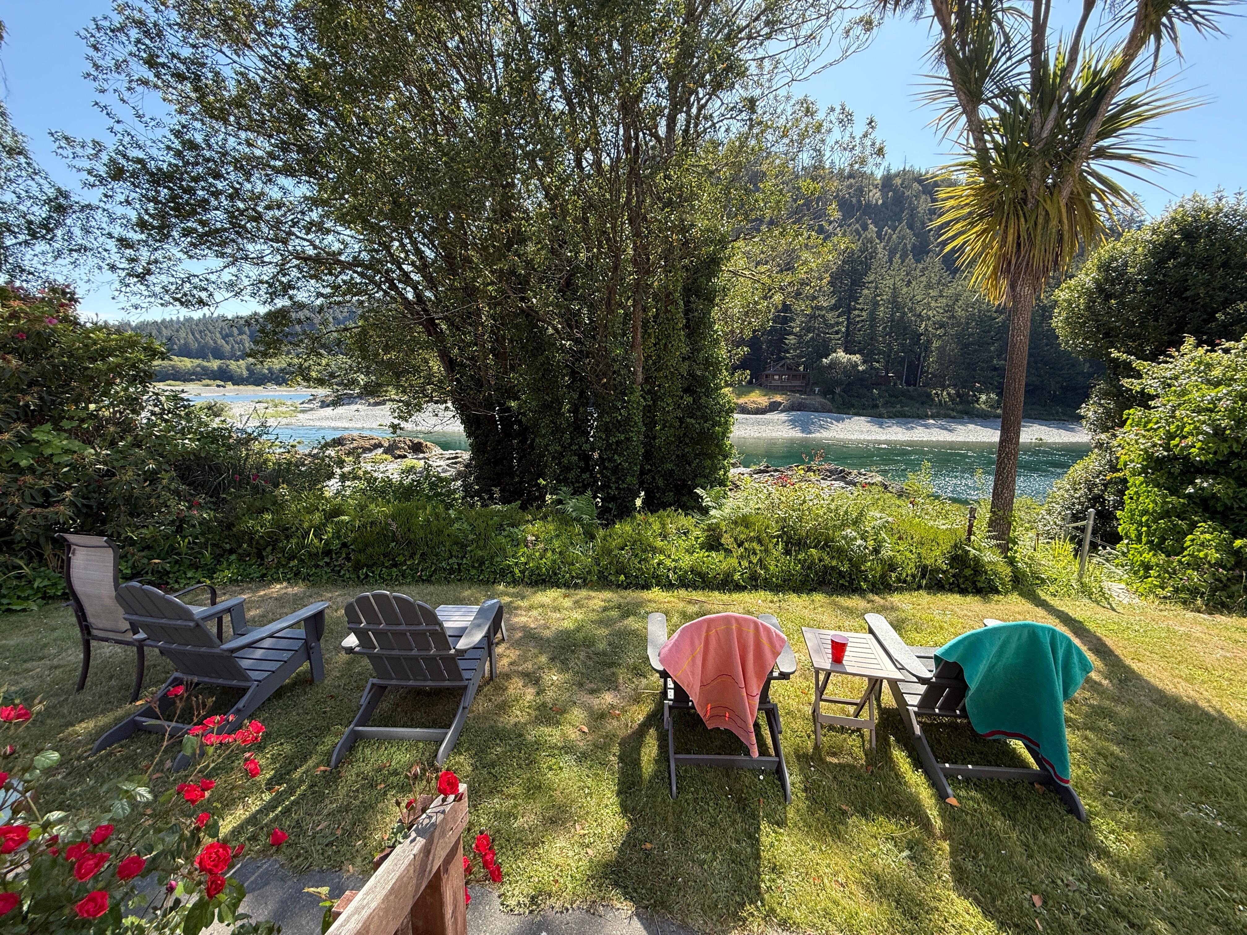 The perfect backyard. 