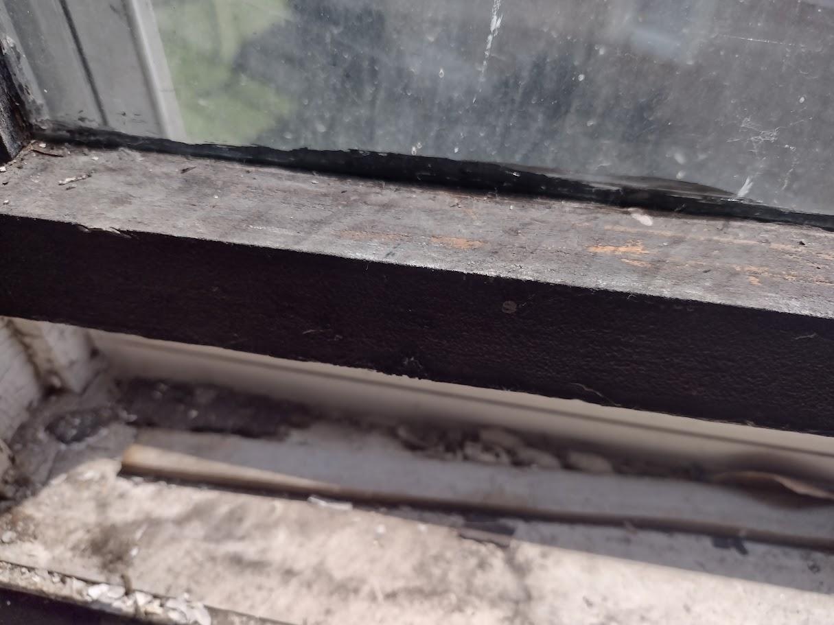 Dirty window sill w/bug casings