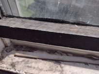 Dirty window sill w/bug casings