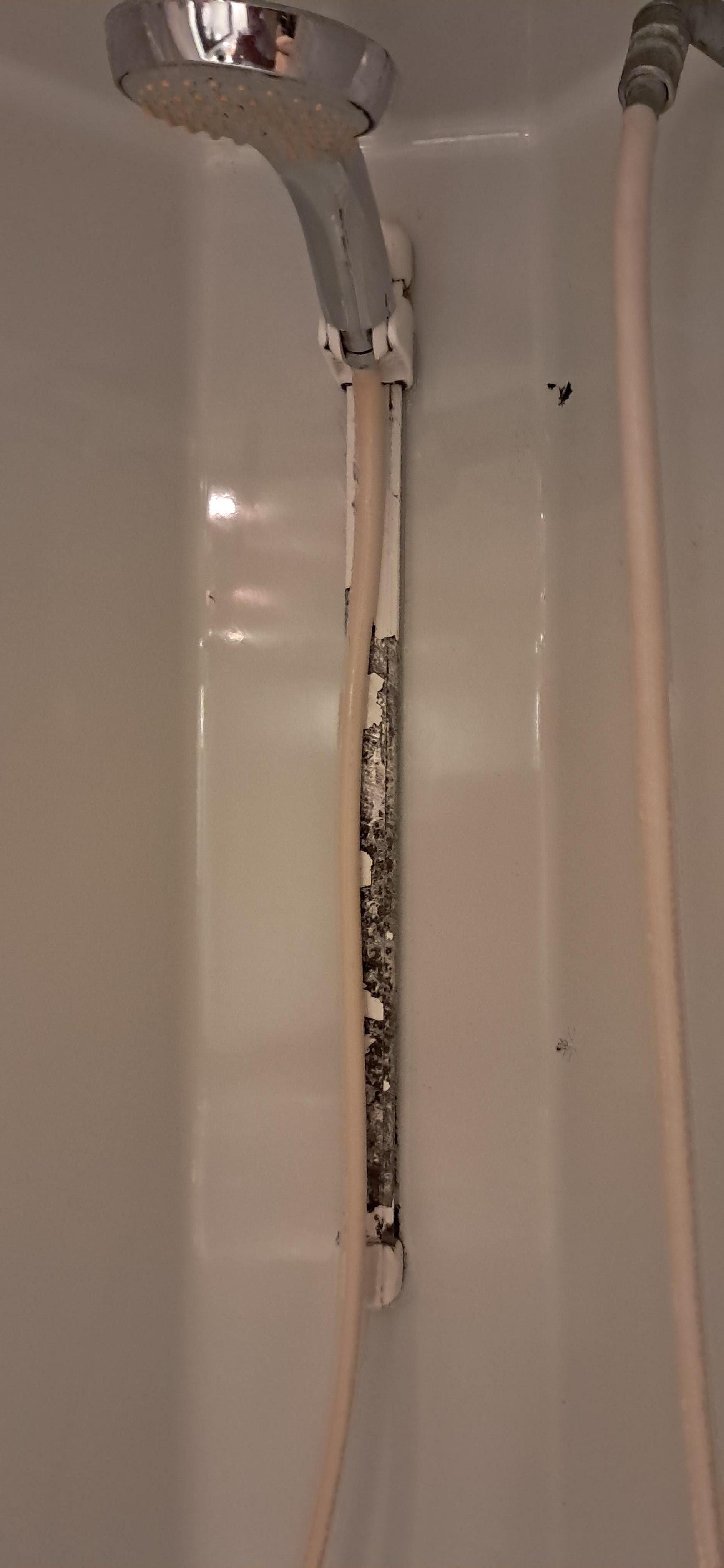 Moisi douche