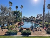 The communal landscaping behind the house