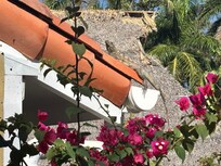 Our morning coffee buddy.