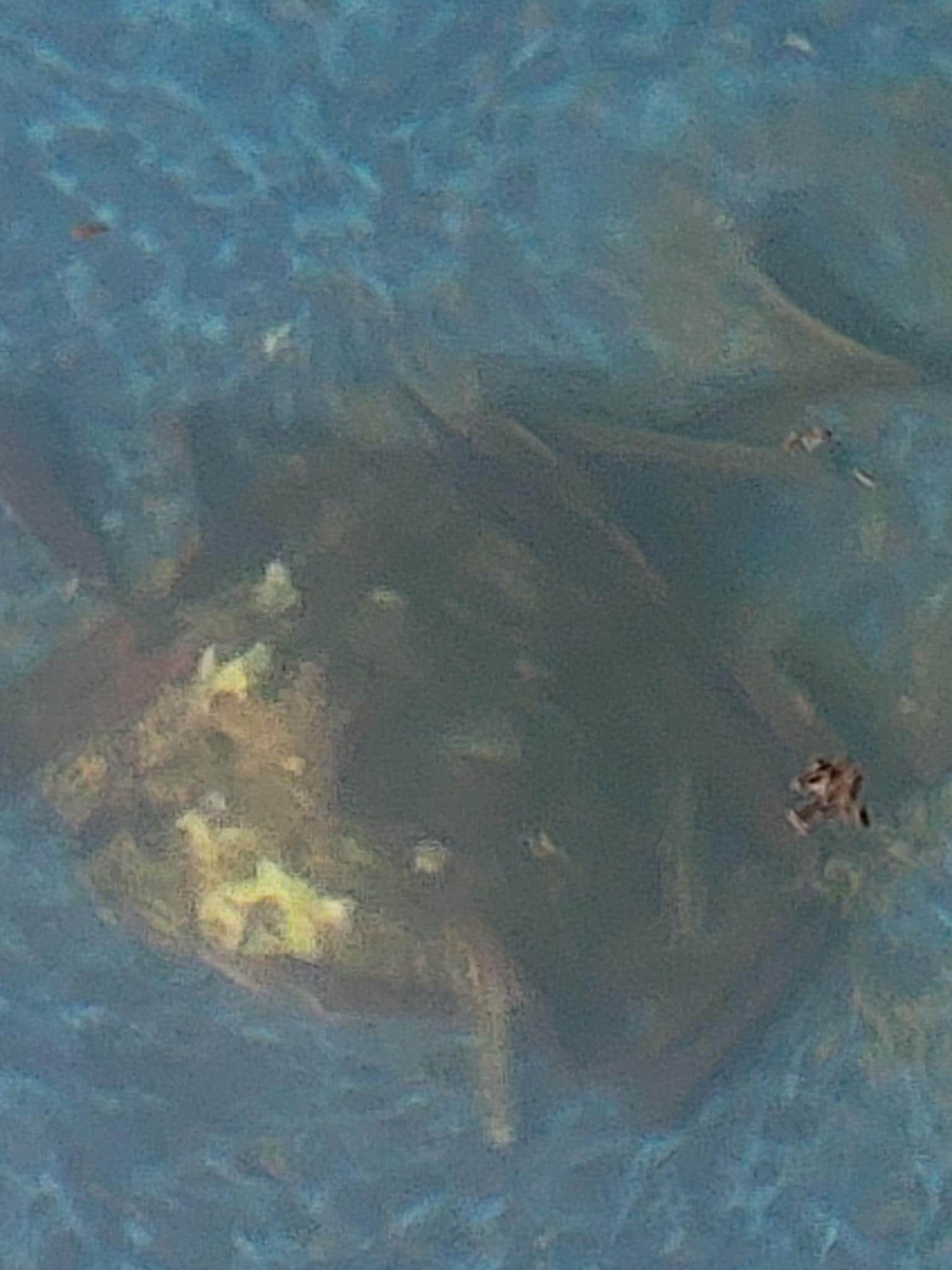 Pile of stuff at the bottom of the pool