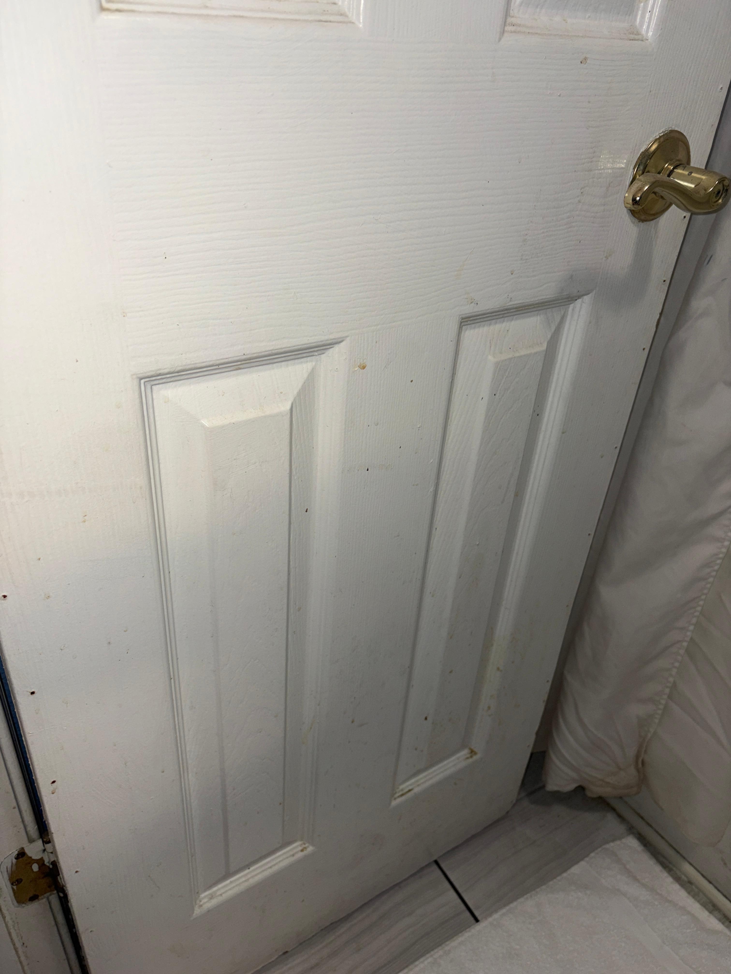 Bathroom door 