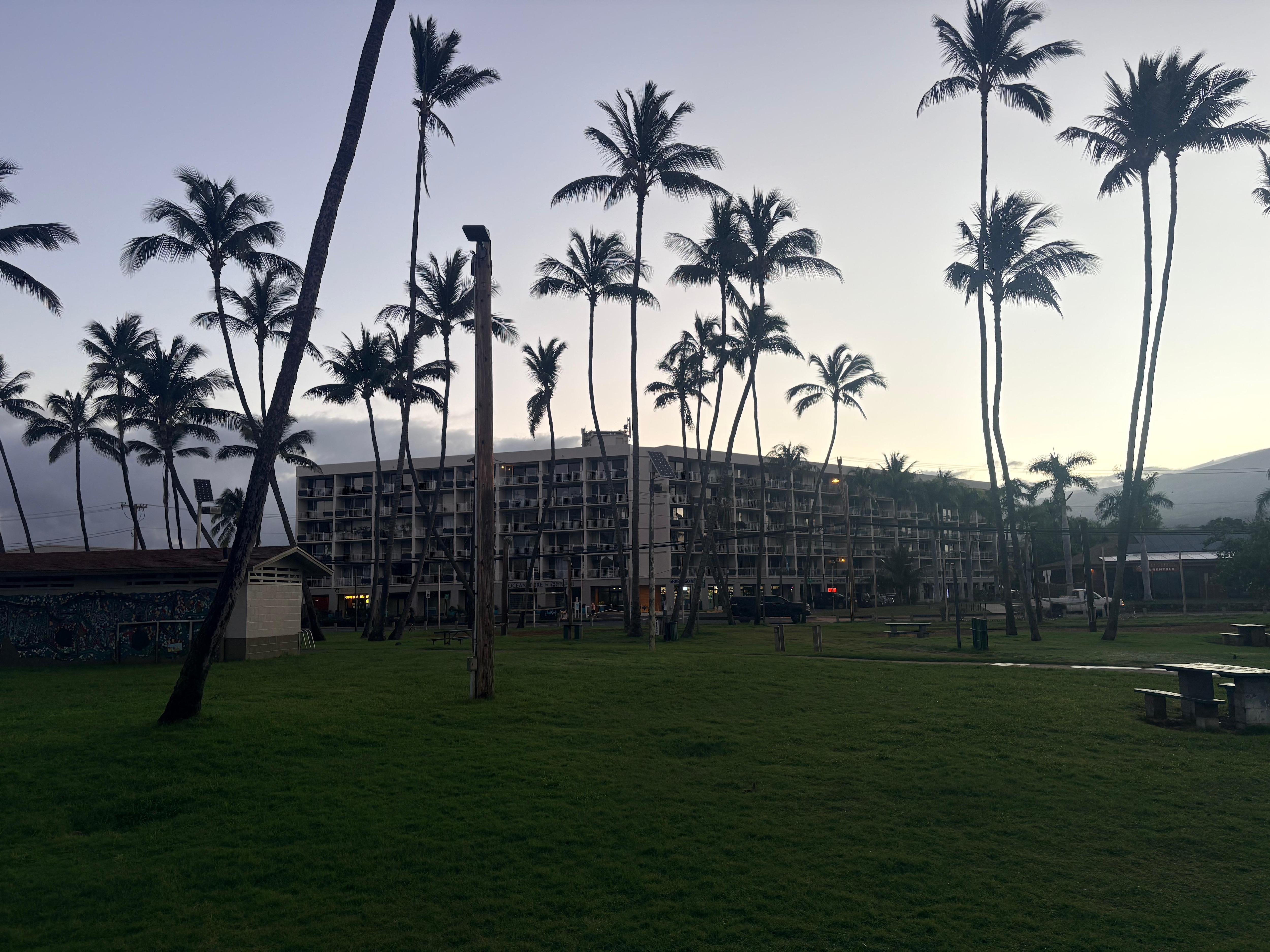 View of condos from across the street at the park. Early morning walk 