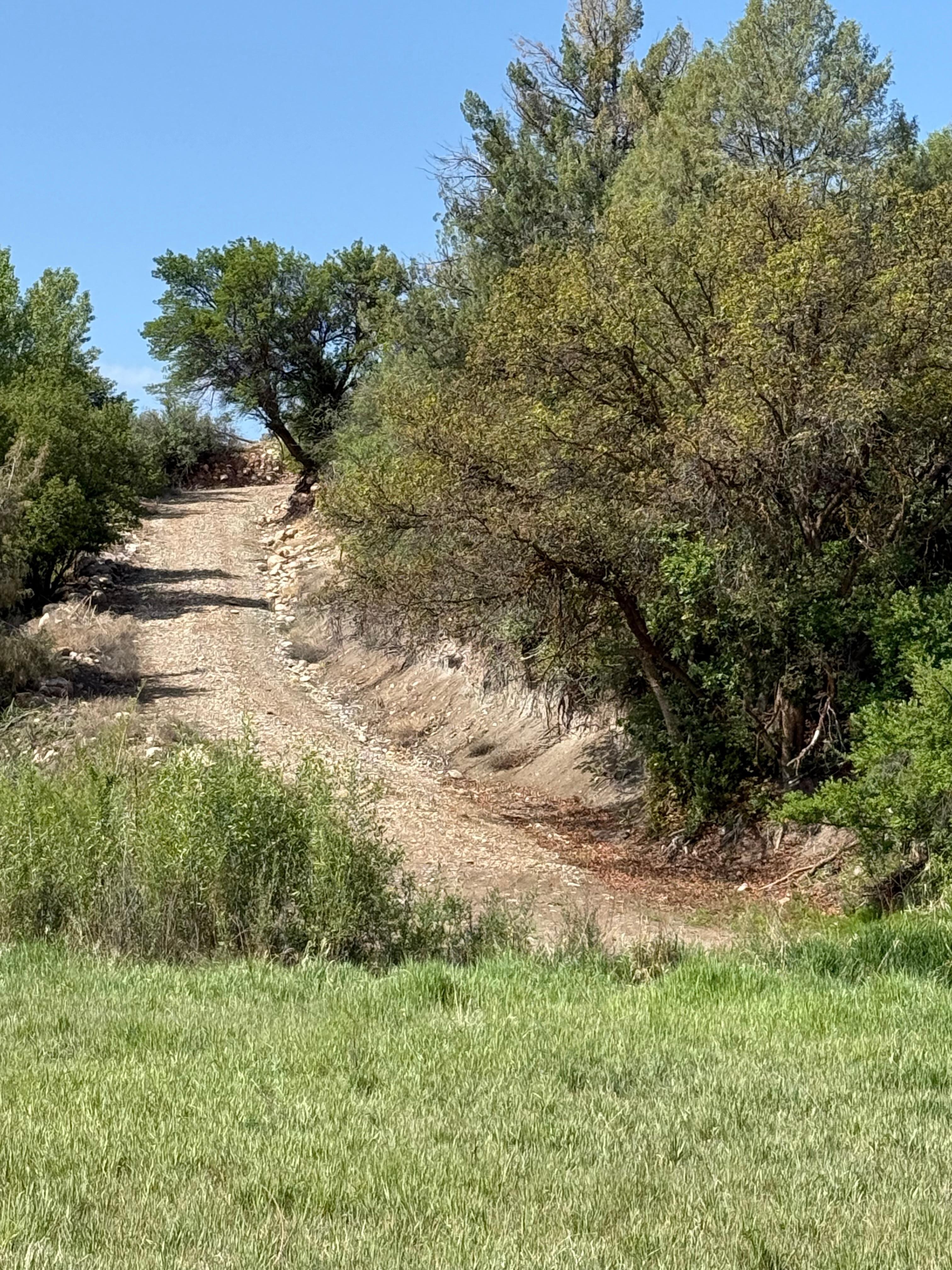 Path to river