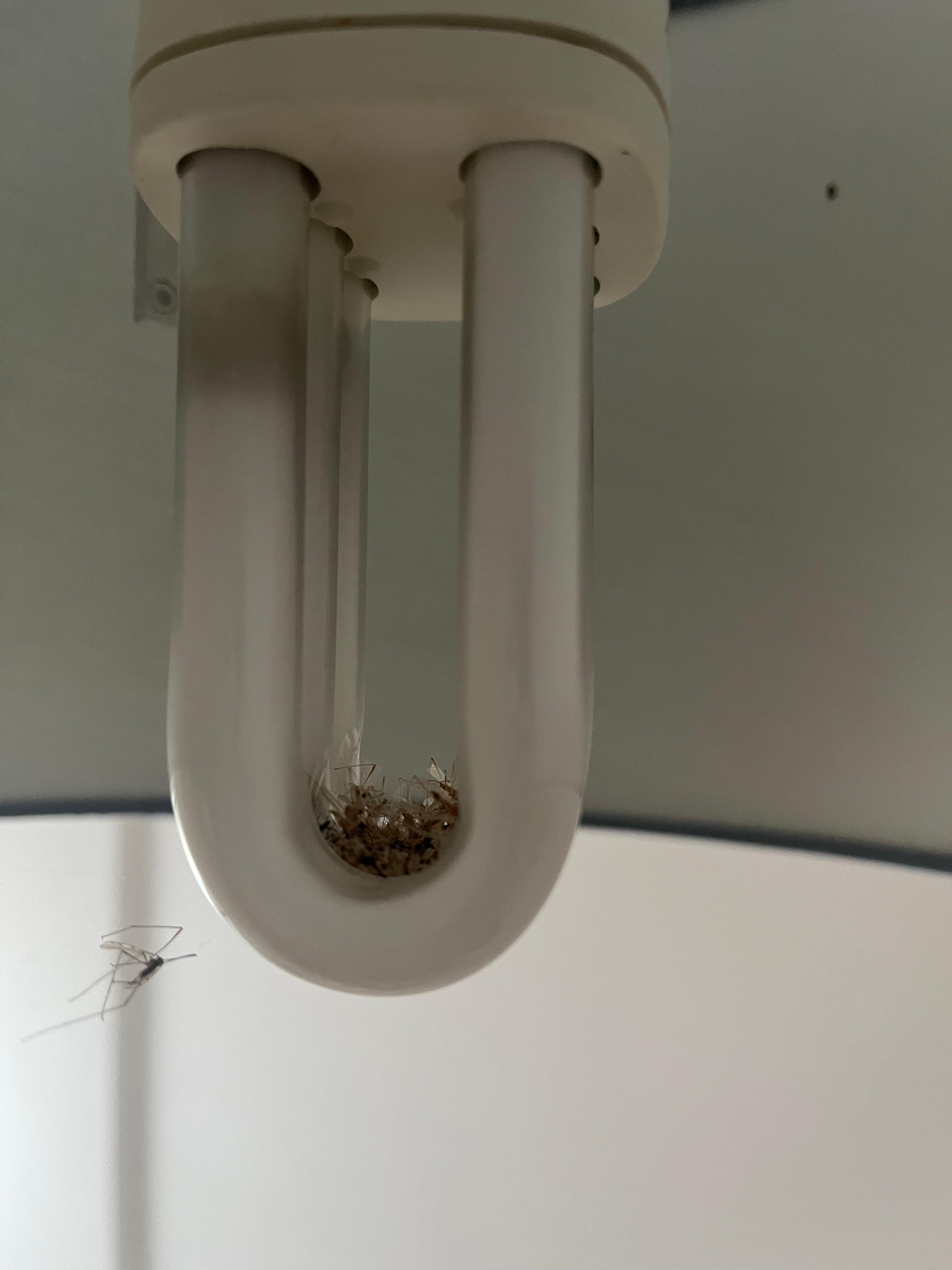 All this needs is a vacuum