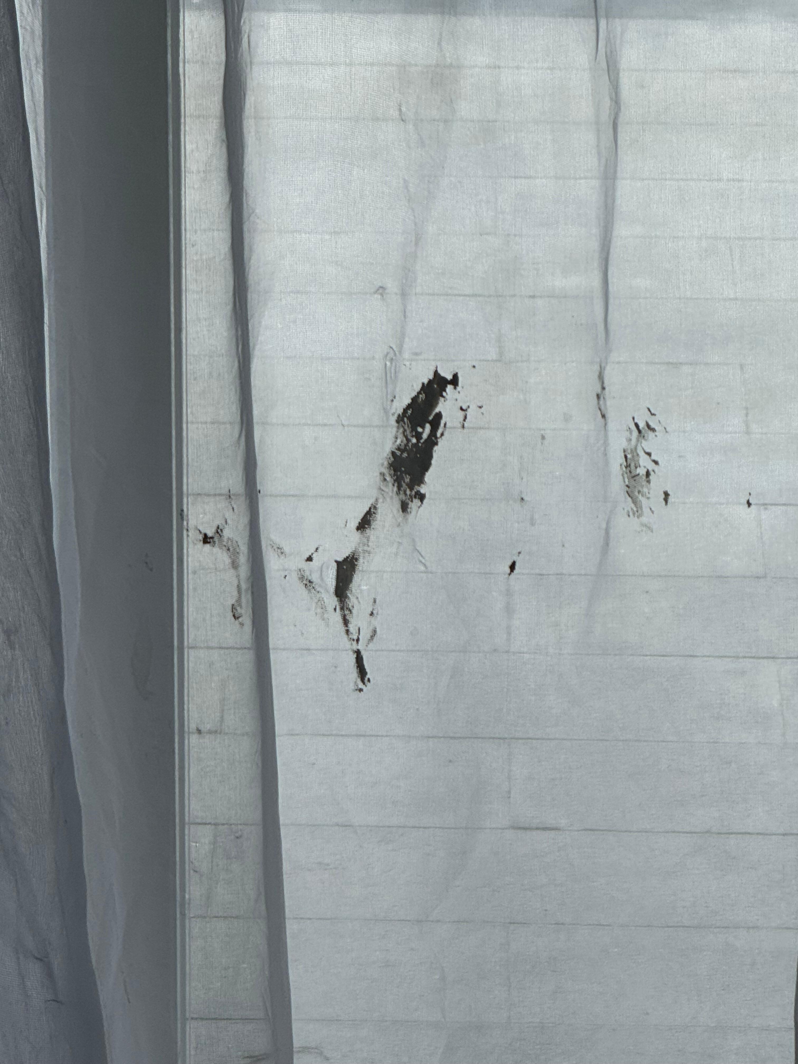 Paint stains on the curtains 