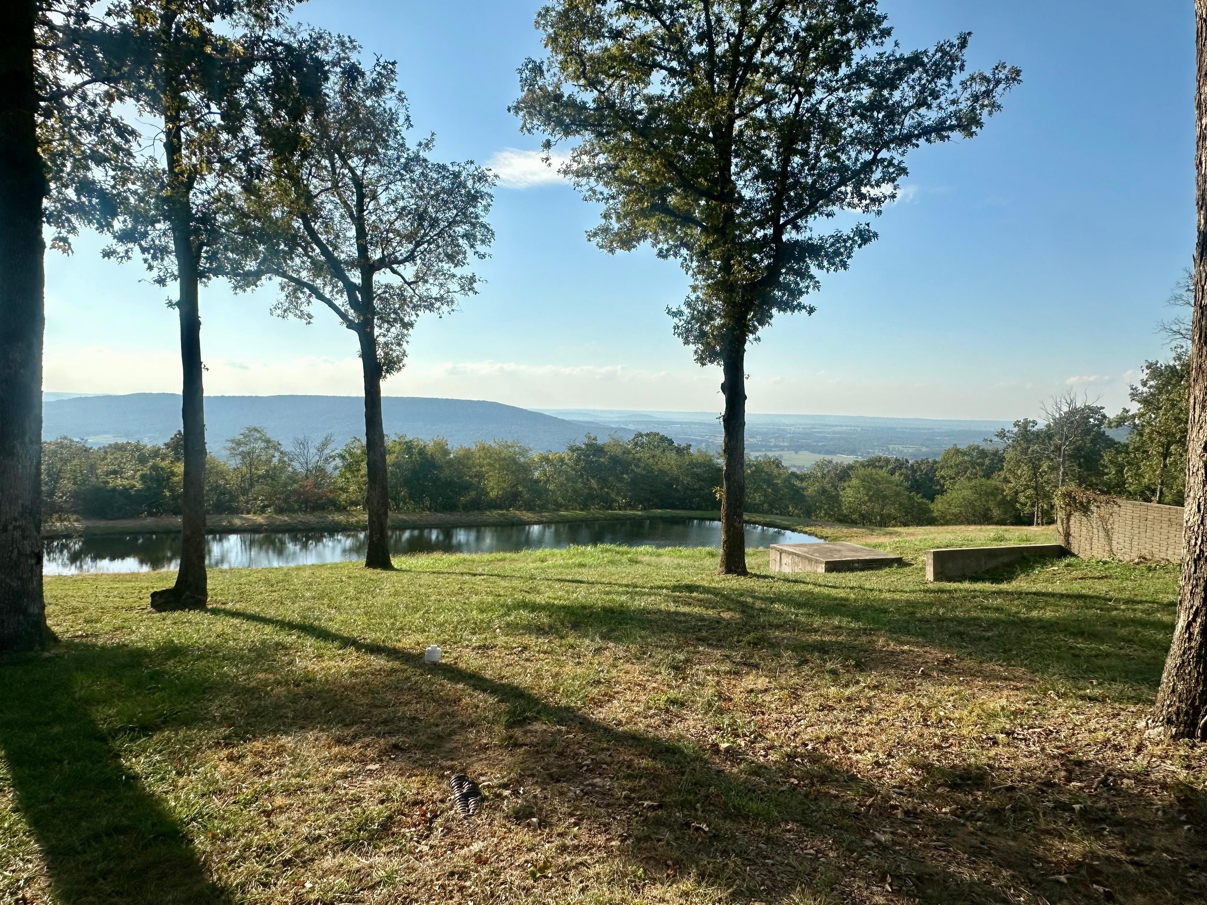Property with pond and tree swing (even fun for the adults)