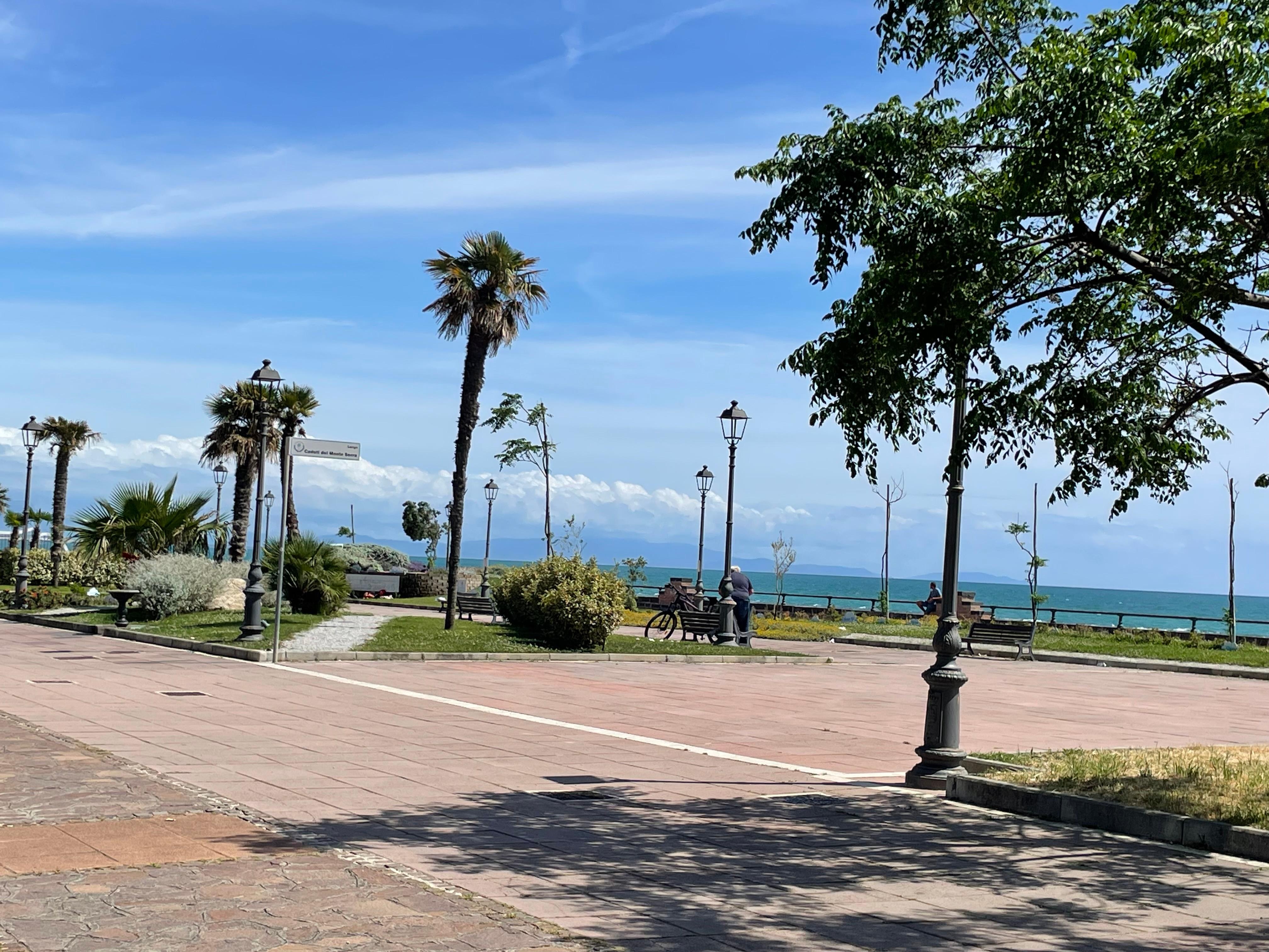 Along the bay