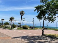 Along the bay