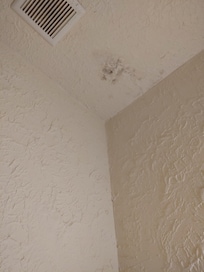 Mold