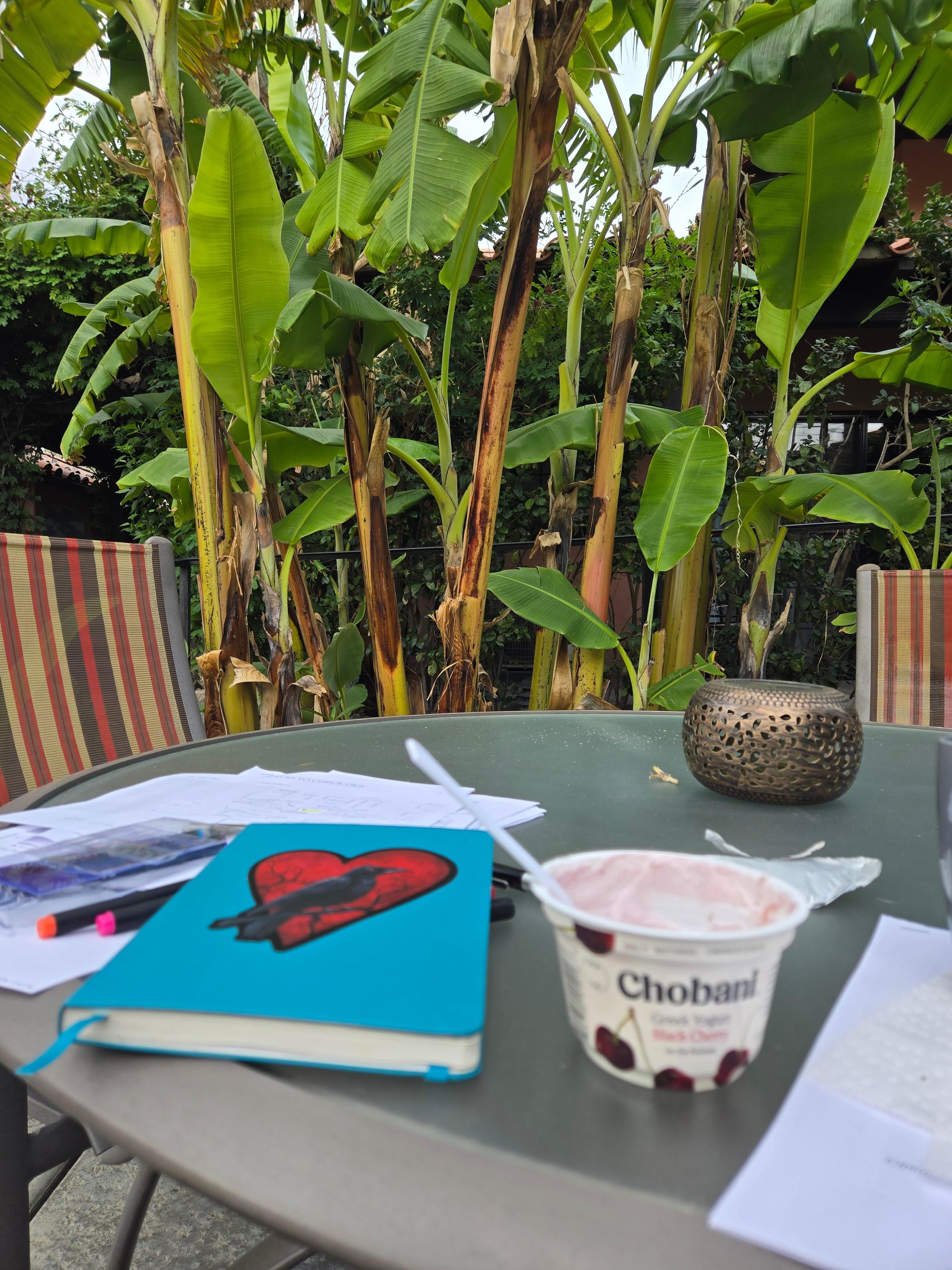 Lots of nooks to hang out in