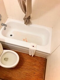 Stained bathtub with blood and cockroach on floor