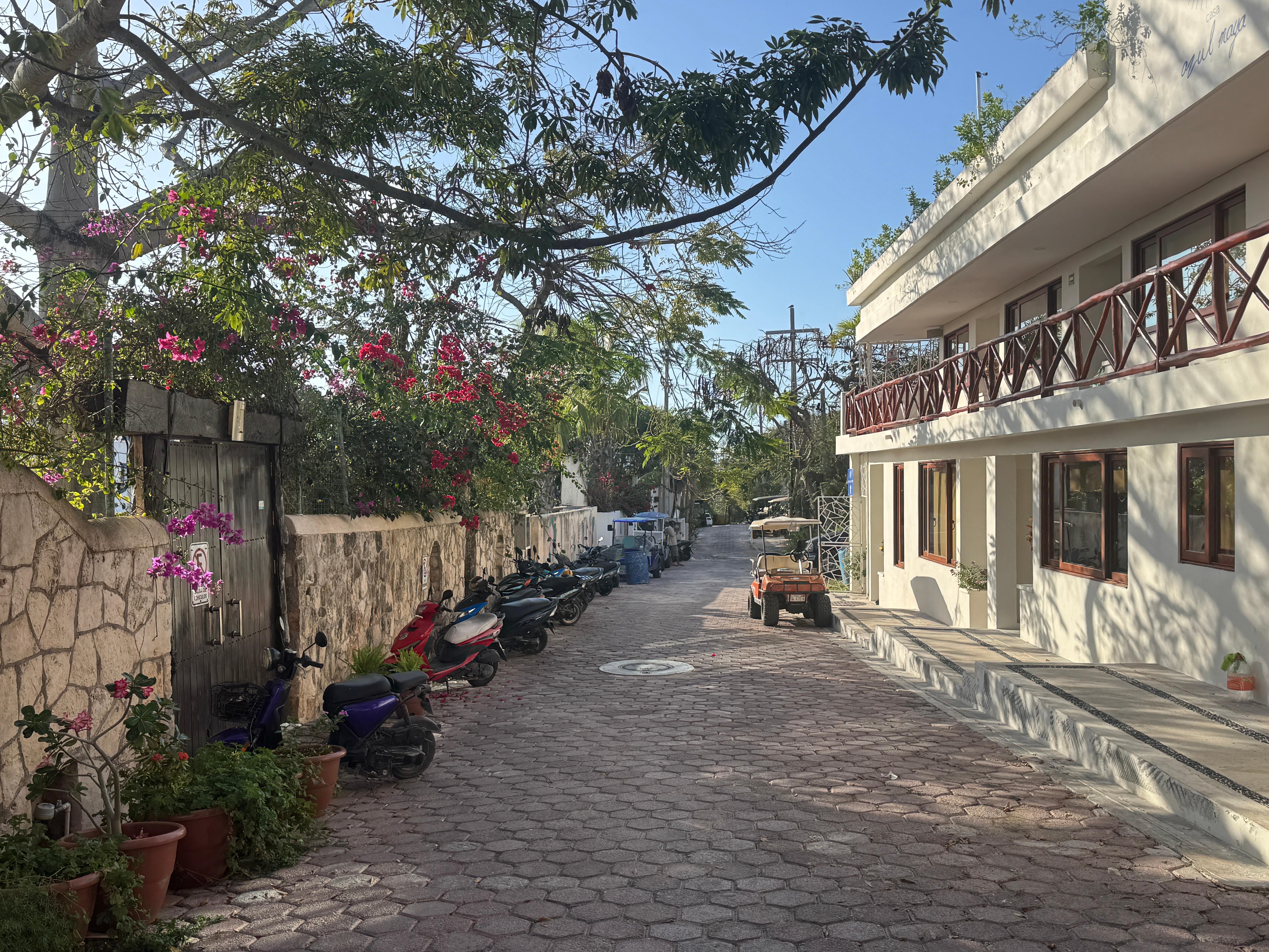 Sweet alley of the hotel. Some noise during the day- but no issues at night. 