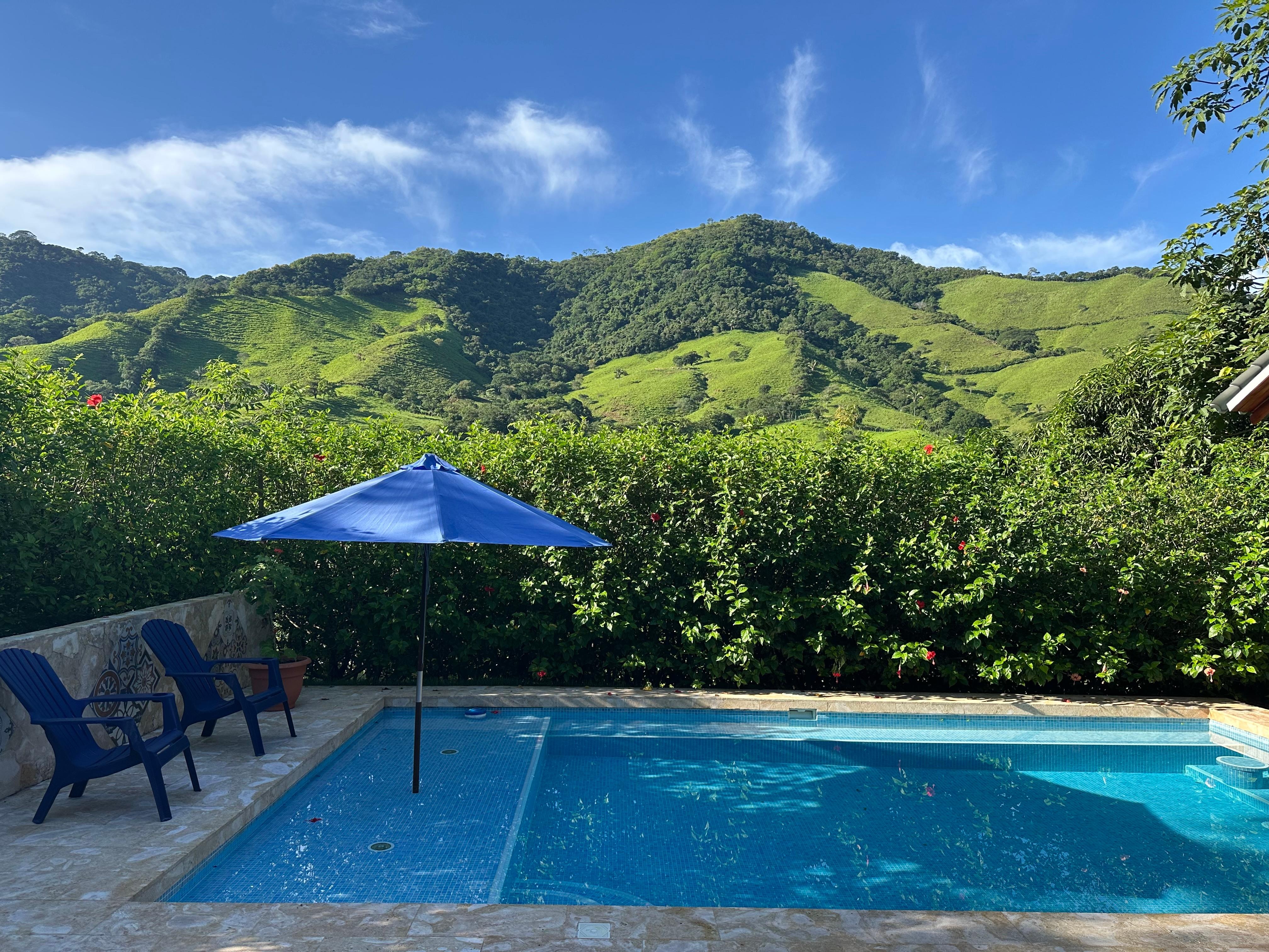 Beautiful mountain view from the back porch - first thing in the morning.