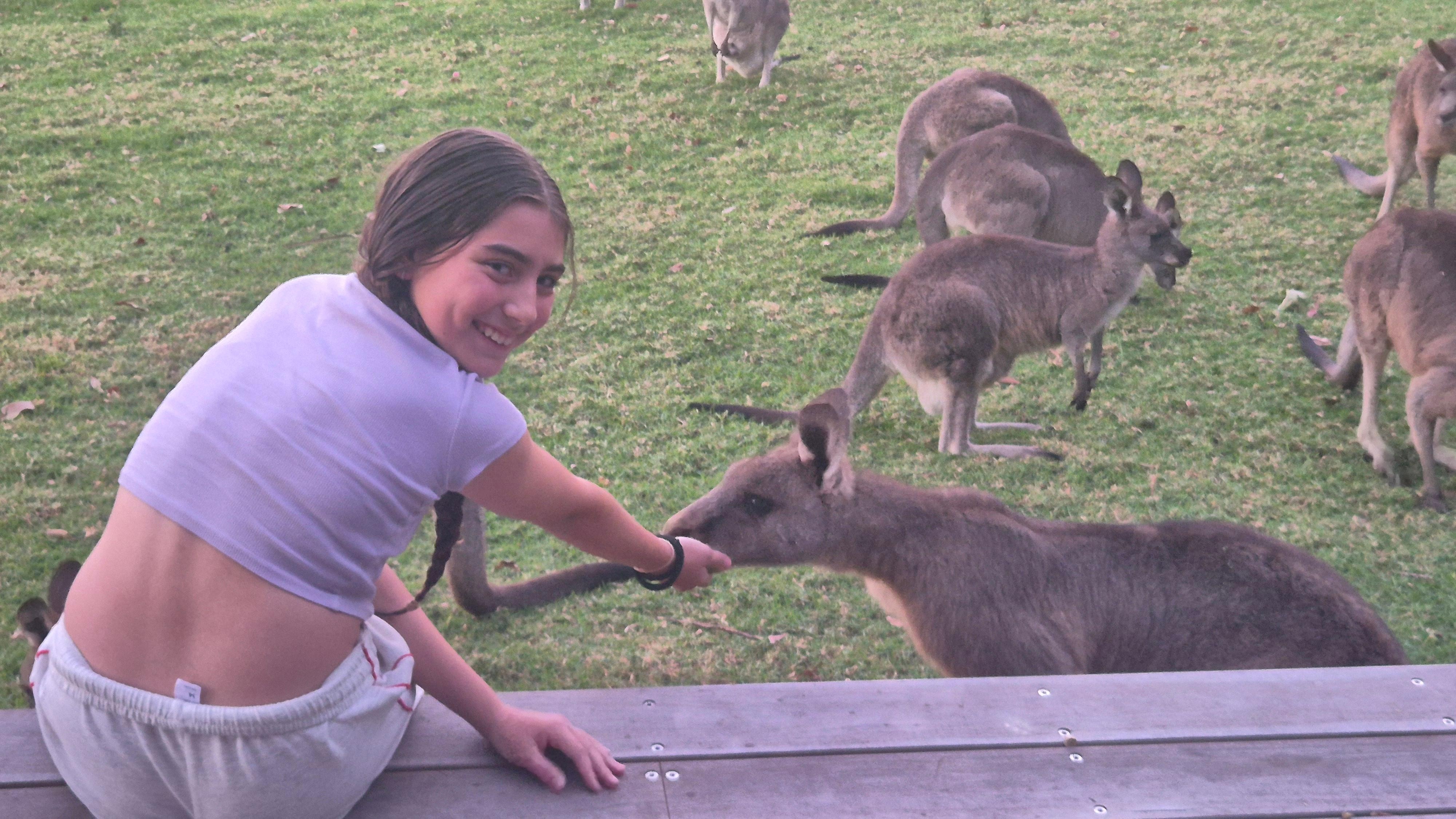 Loved all the kangaroos