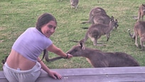 Loved all the kangaroos