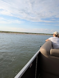 Comfortable calm boat tour