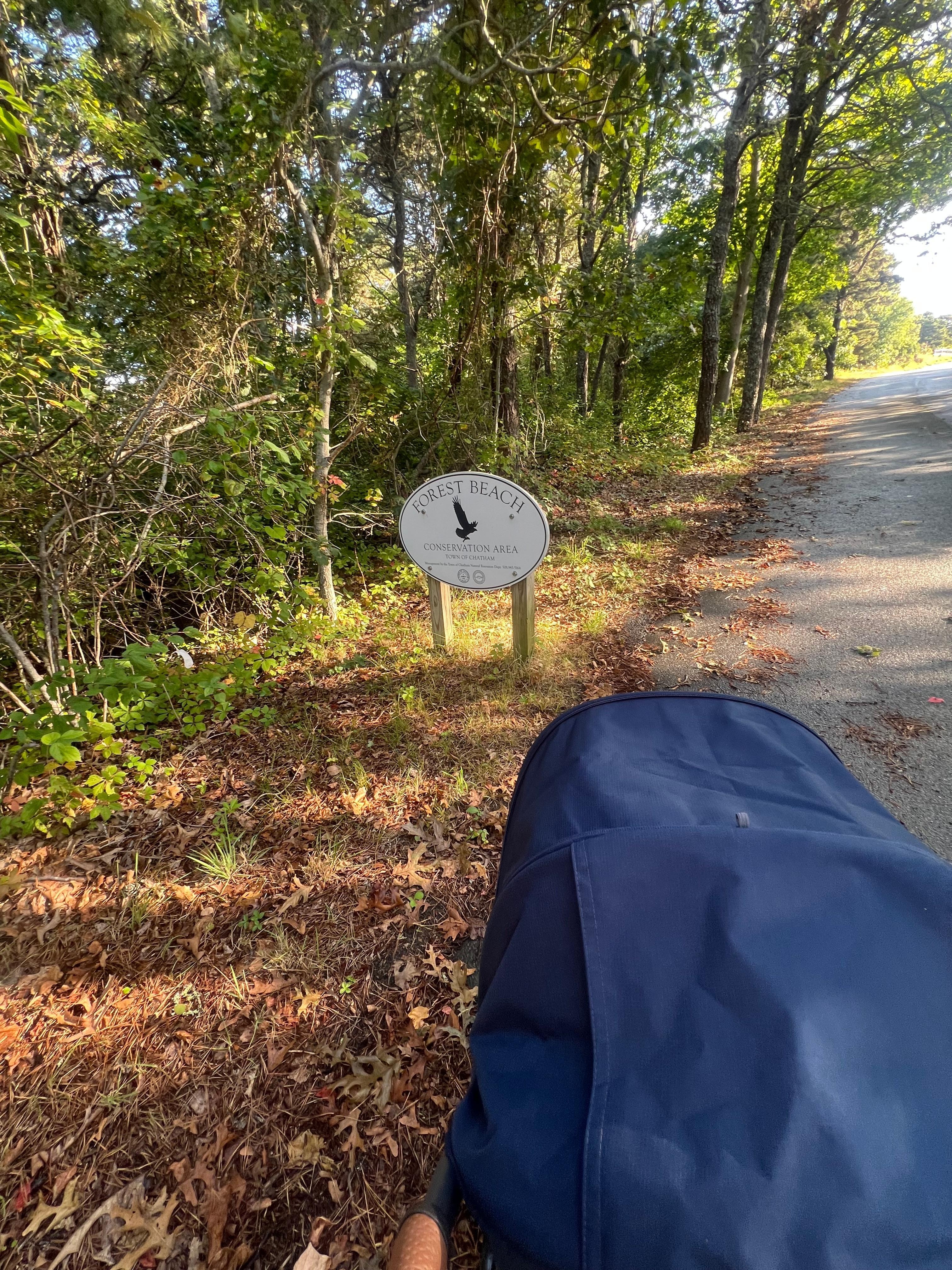 Walk with the stroller to Forest Beach
