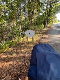 Walk with the stroller to Forest Beach