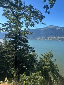 view from the patio