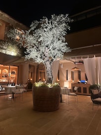 The courtyard