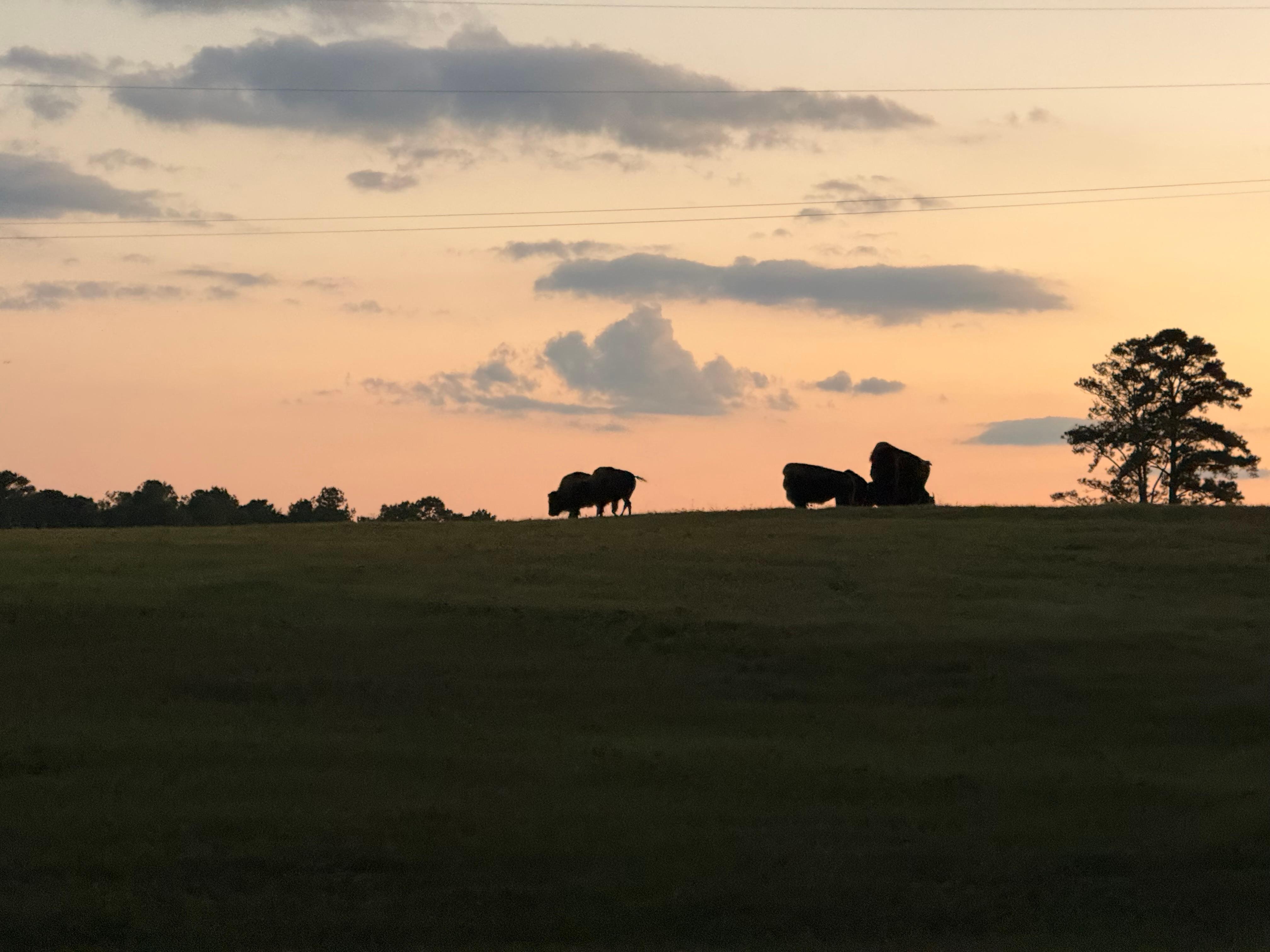 View as we entered the property - and experienced every night!