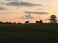 View as we entered the property - and experienced every night!