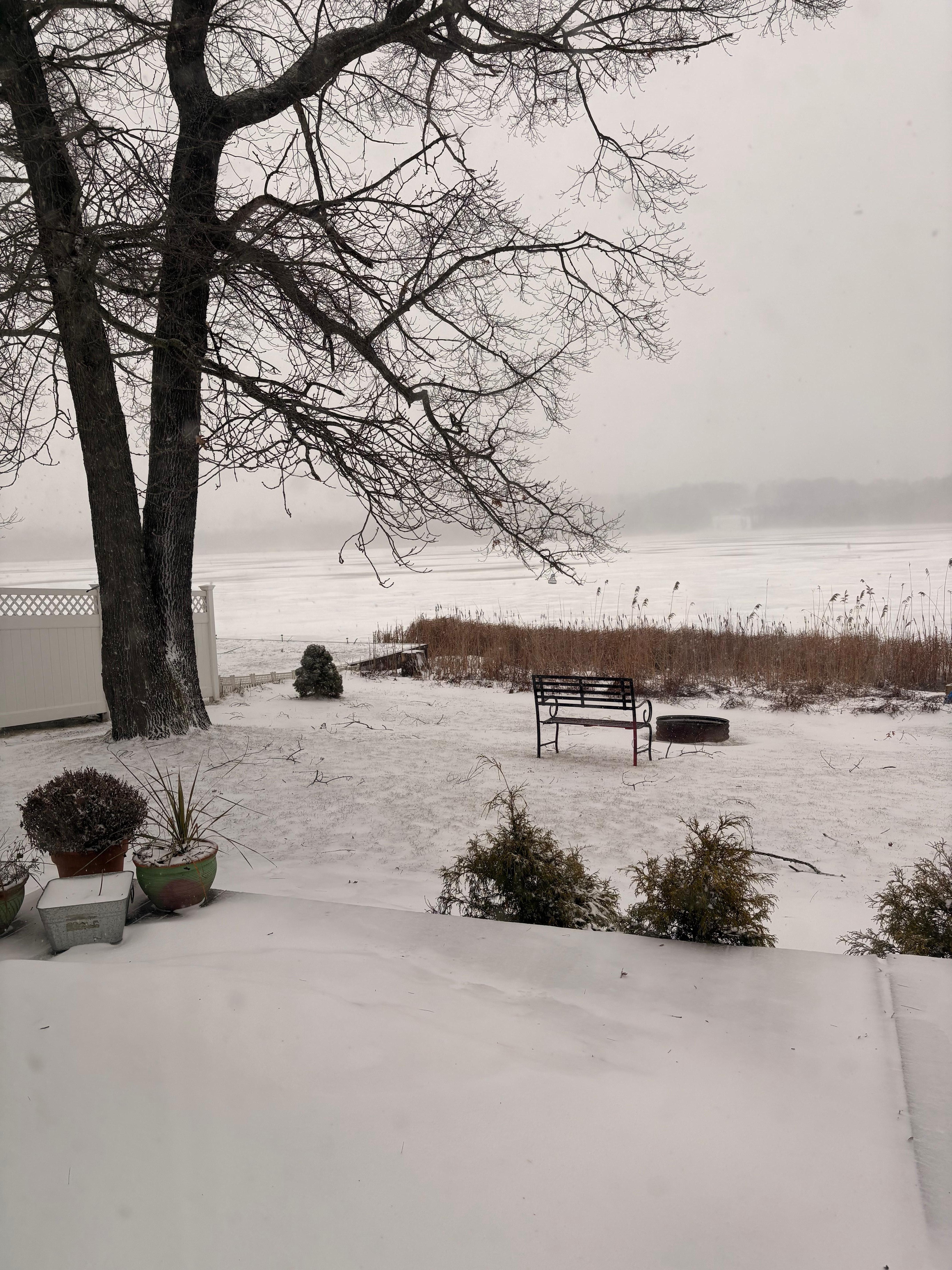 Deck and backyard facing lake