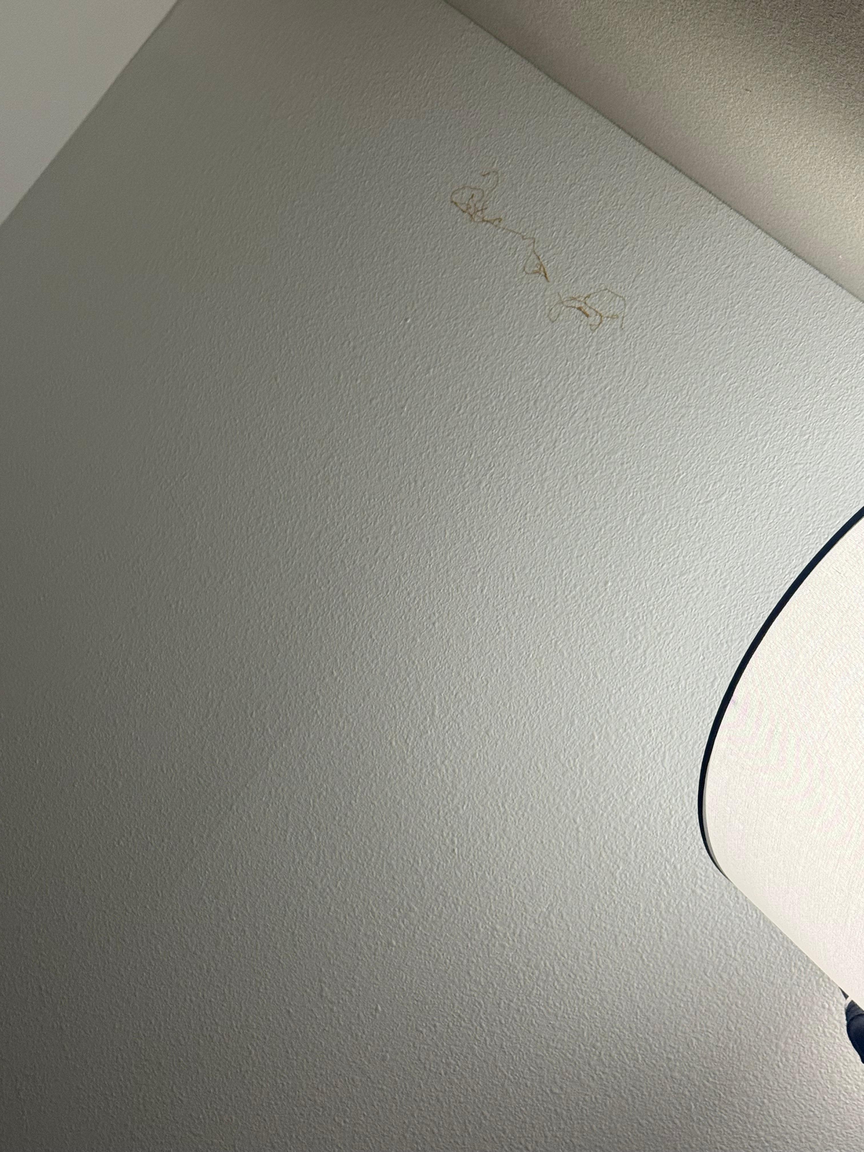 Red/orange thing on wall