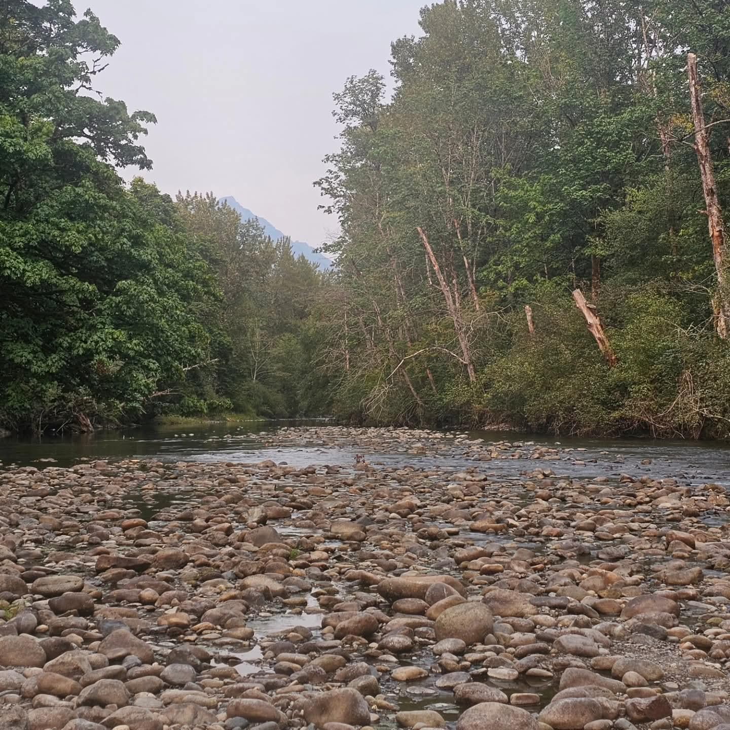 Again, pic speaks for itself.