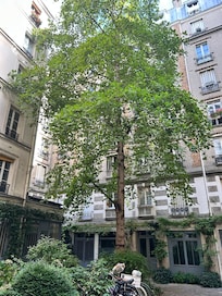 Inner courtyard of the apartment building.
