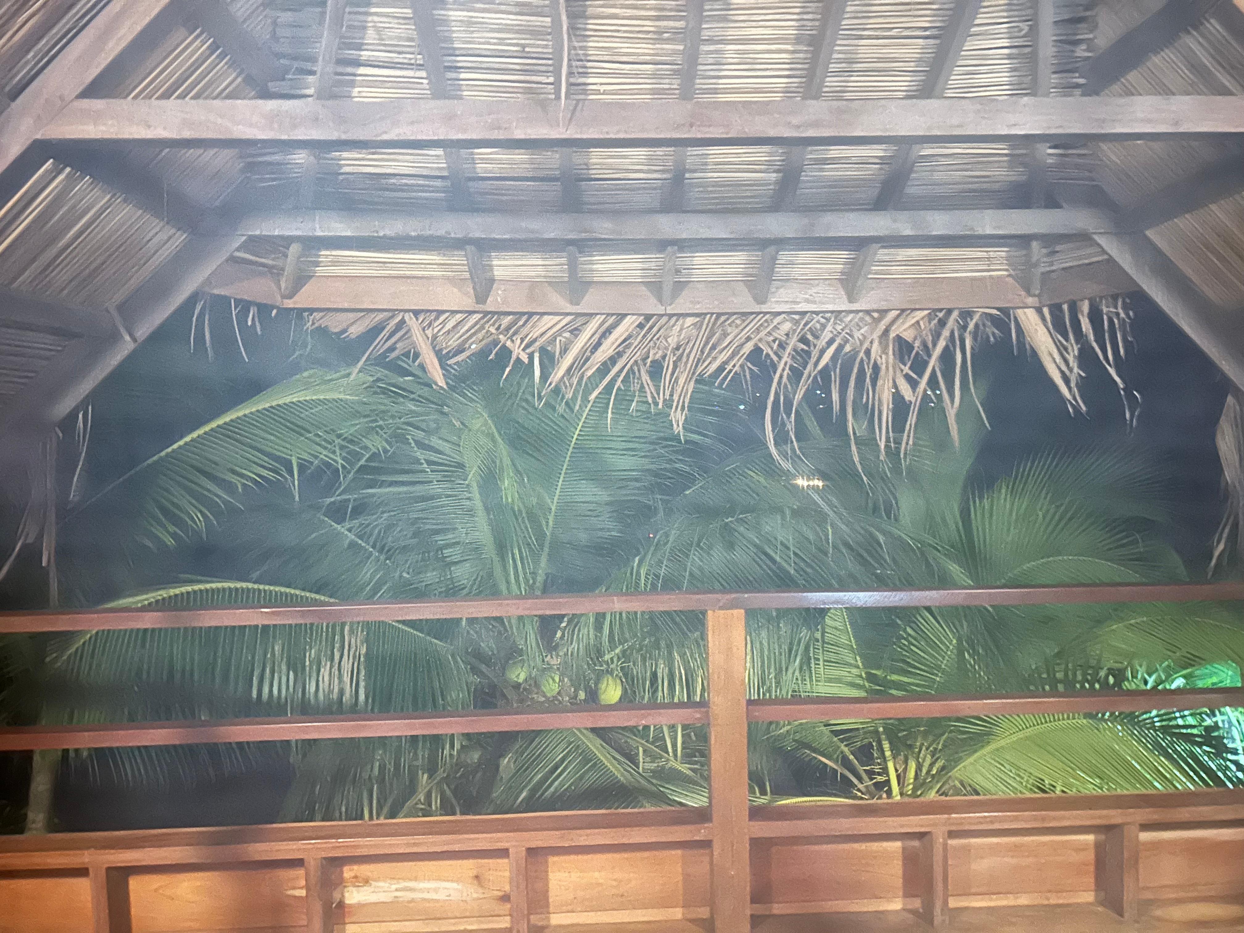 Supposed waterfront view