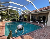 Manatee not included ;)