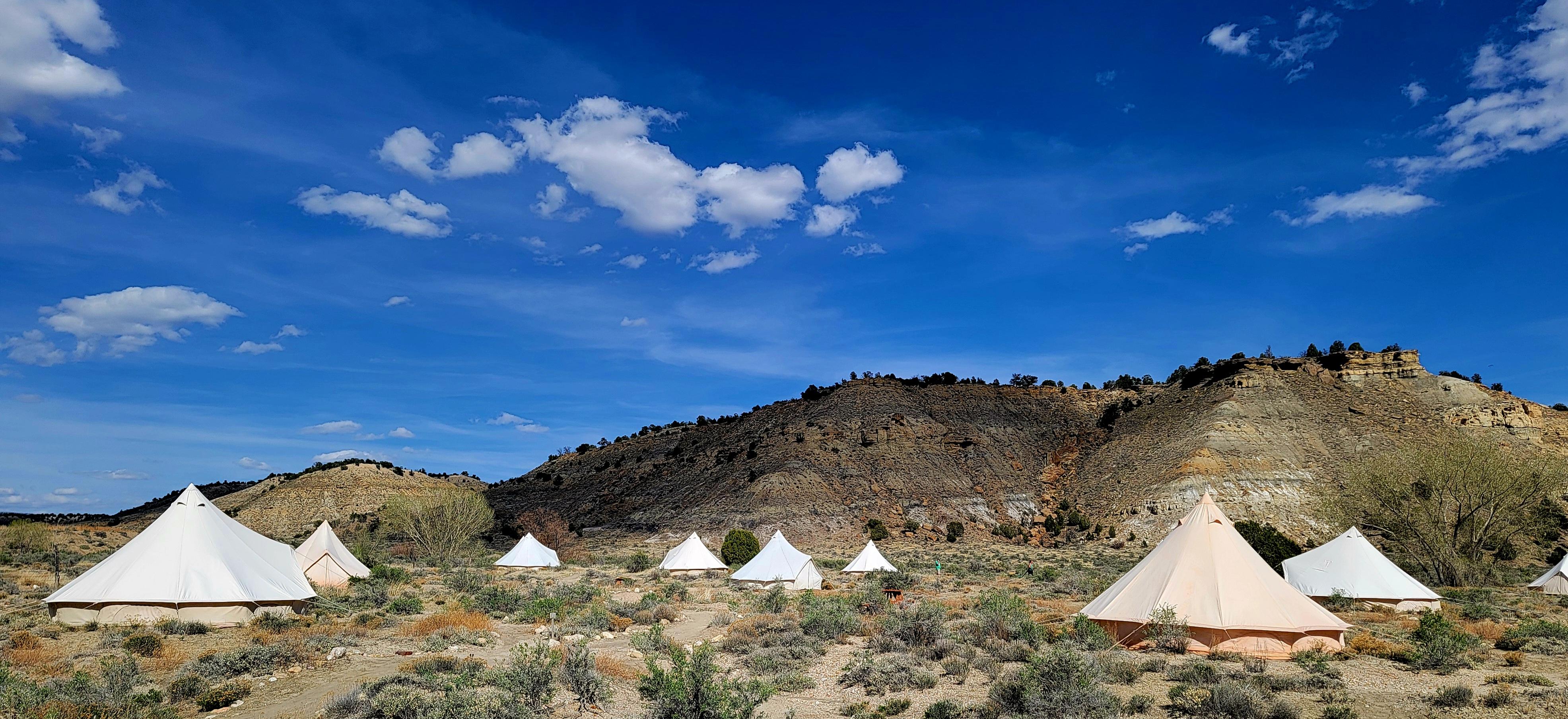 view of all tents from parking lot