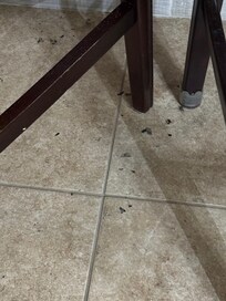 More floor under barstool