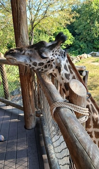 Cincinnati Zoo