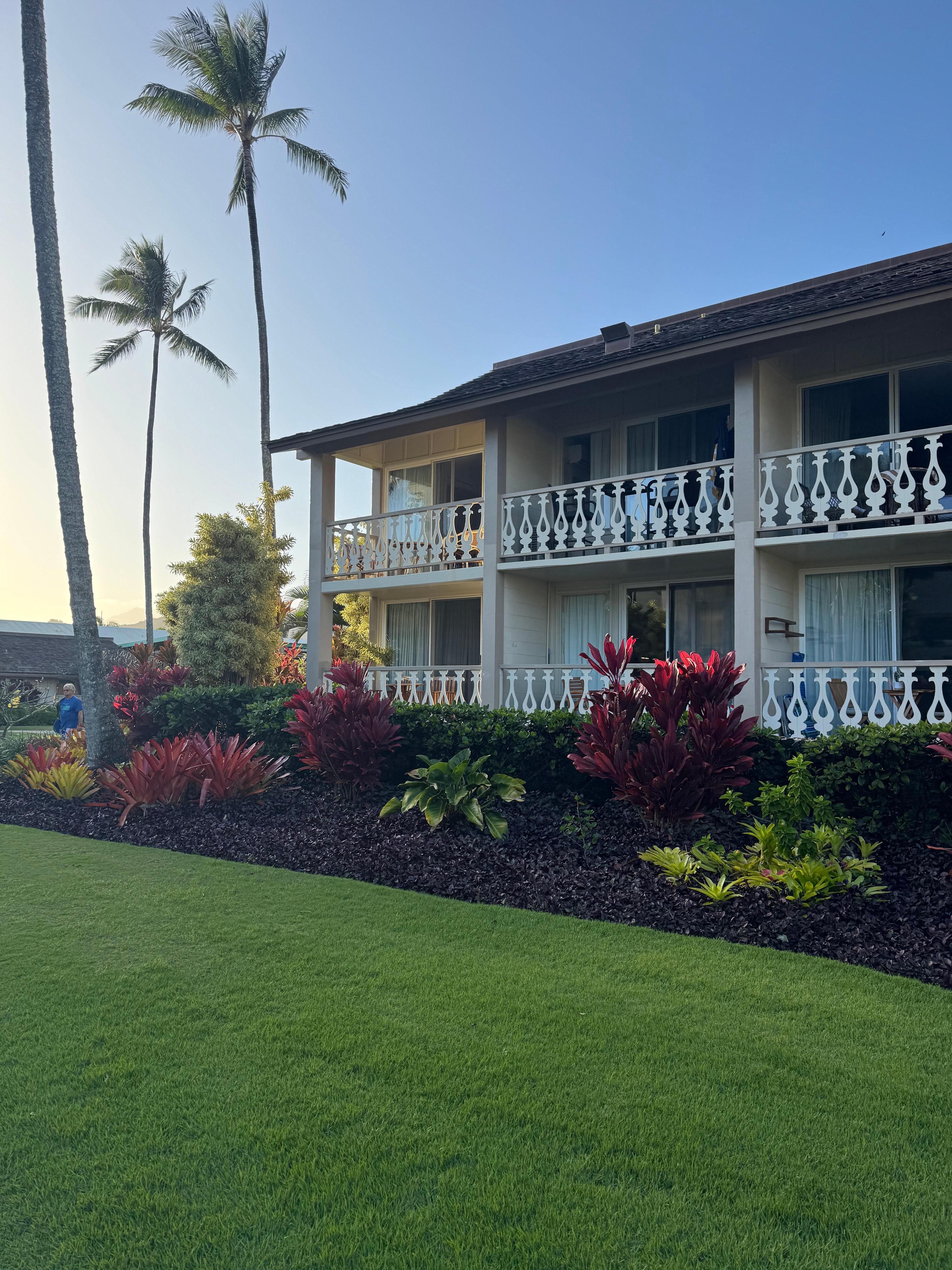 Islander on the beach grounds