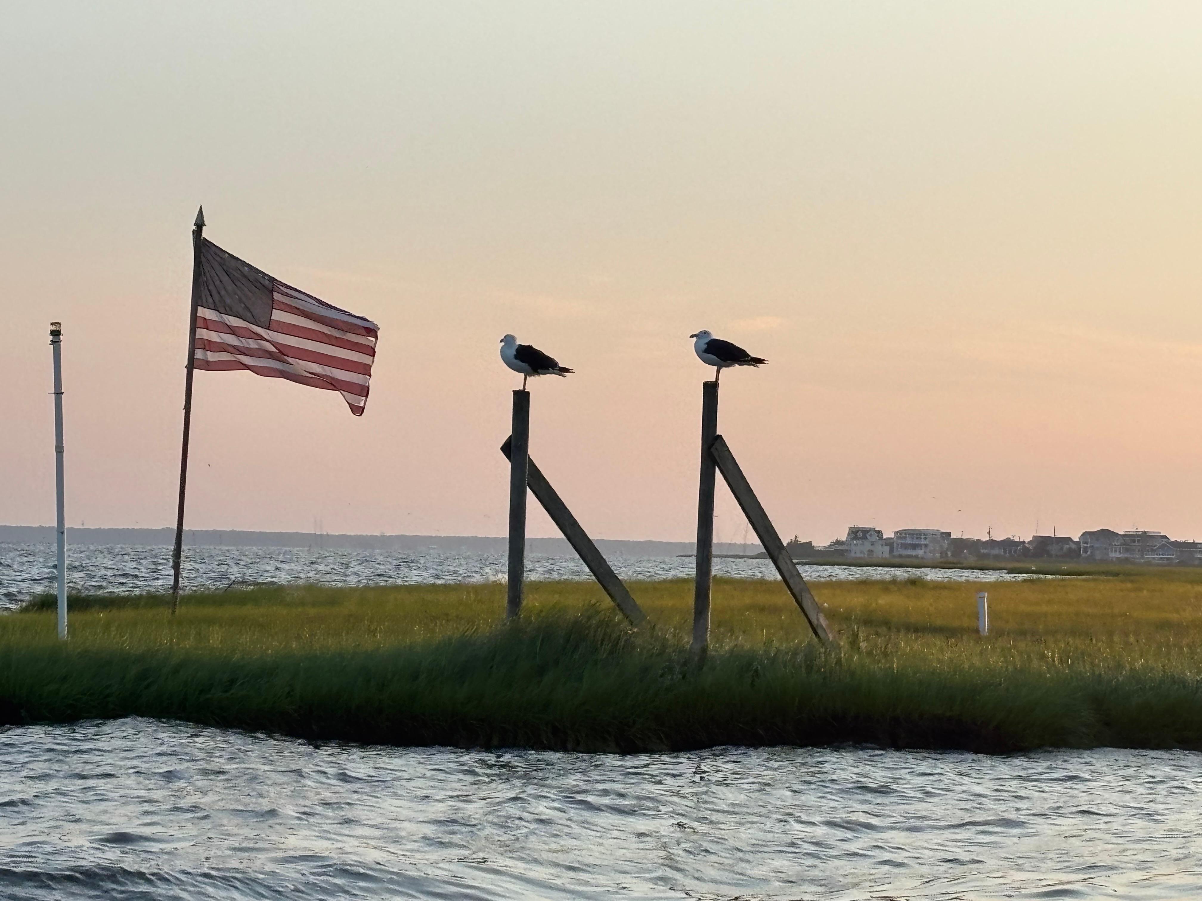 Photo taken from the rental boat on our way to the bay.