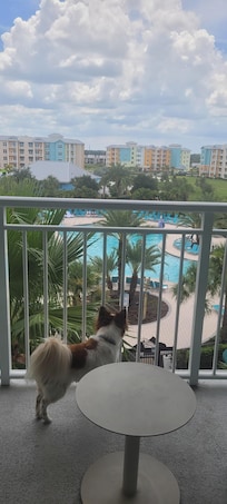 Pet Friendly.